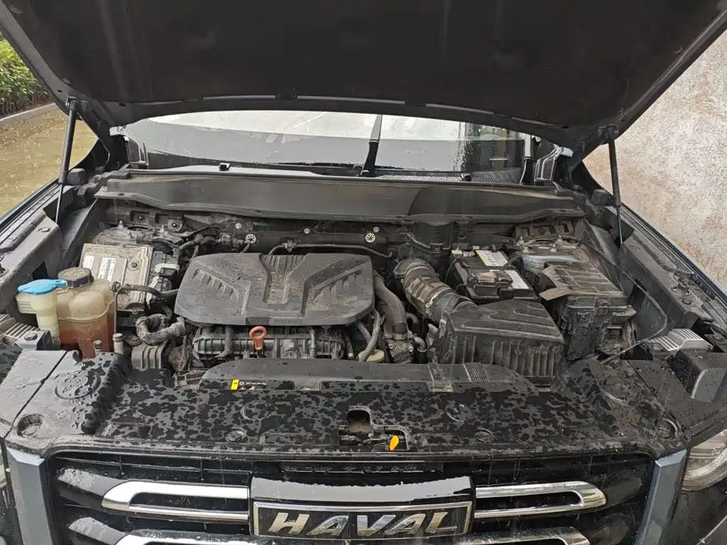 Haval Big Dog — фото 11