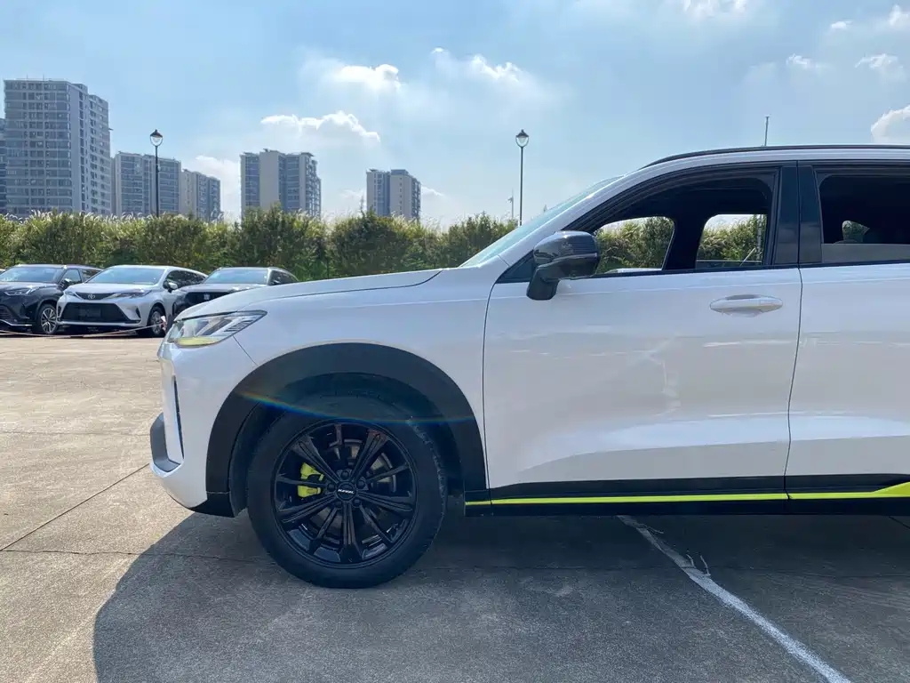 Haval H6S — фото 19