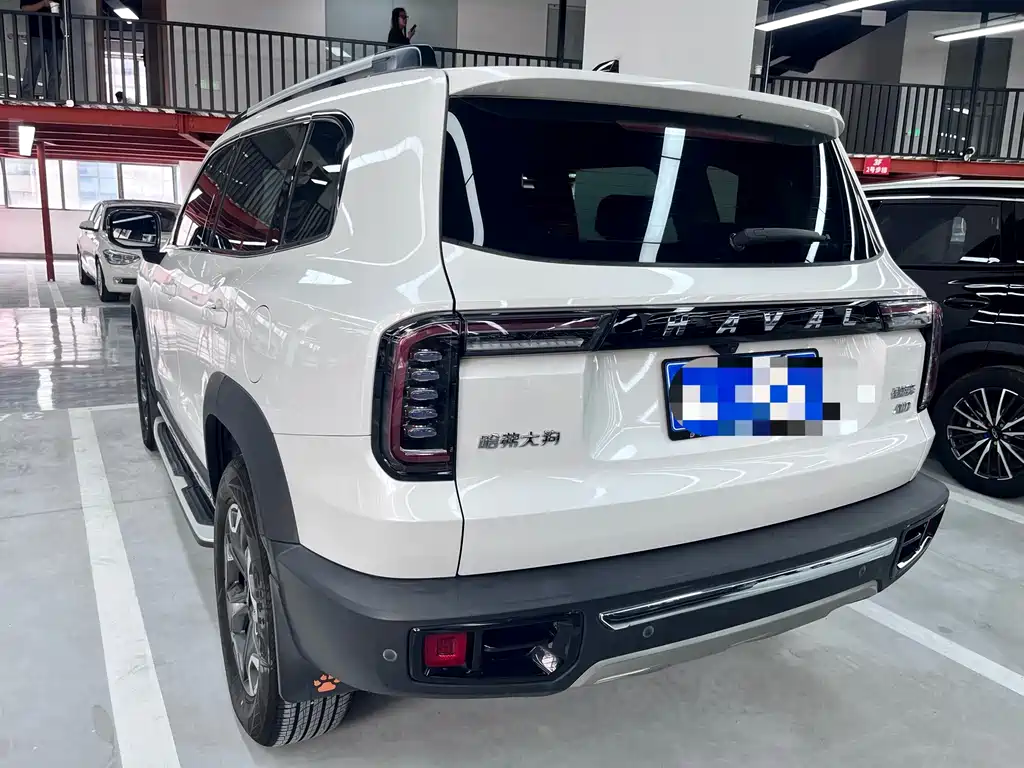 Haval Big Dog — фото 18