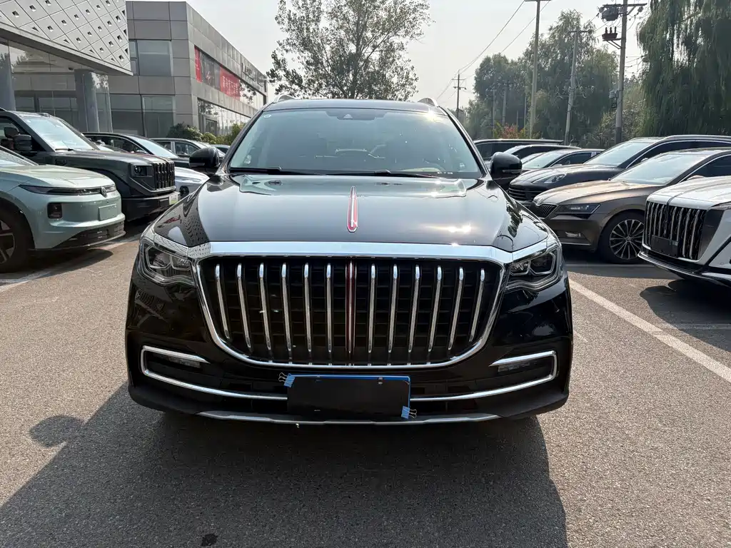 Hongqi Hongqi HS7 — фото 2