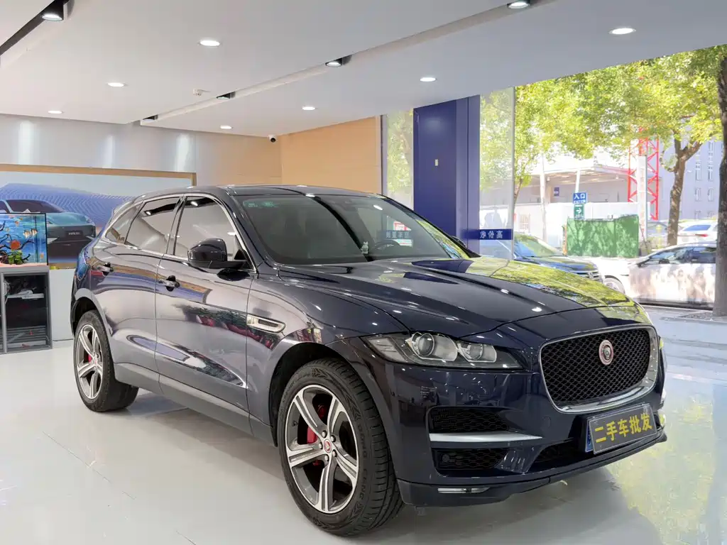 Jaguar F-PACE — фото 3