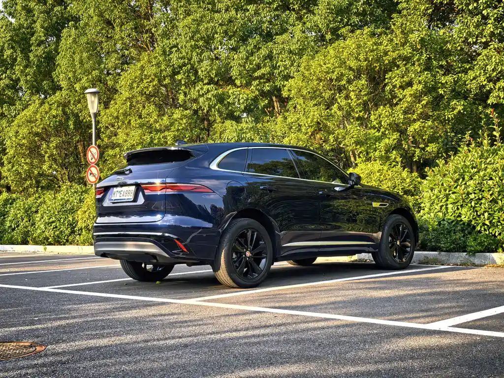 Jaguar F-PACE — фото 9