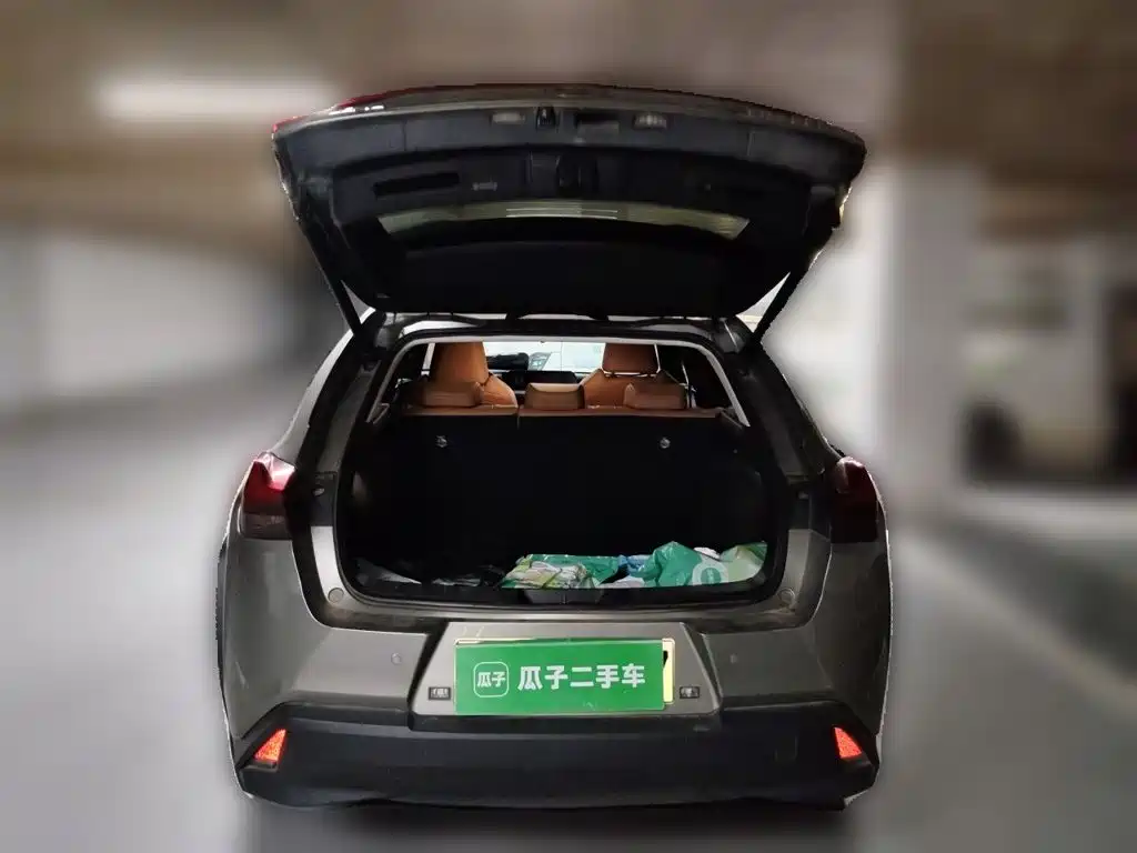Lexus UX New Energy — фото 10