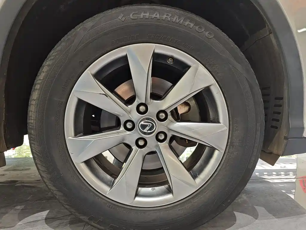 Lexus RX — фото 11