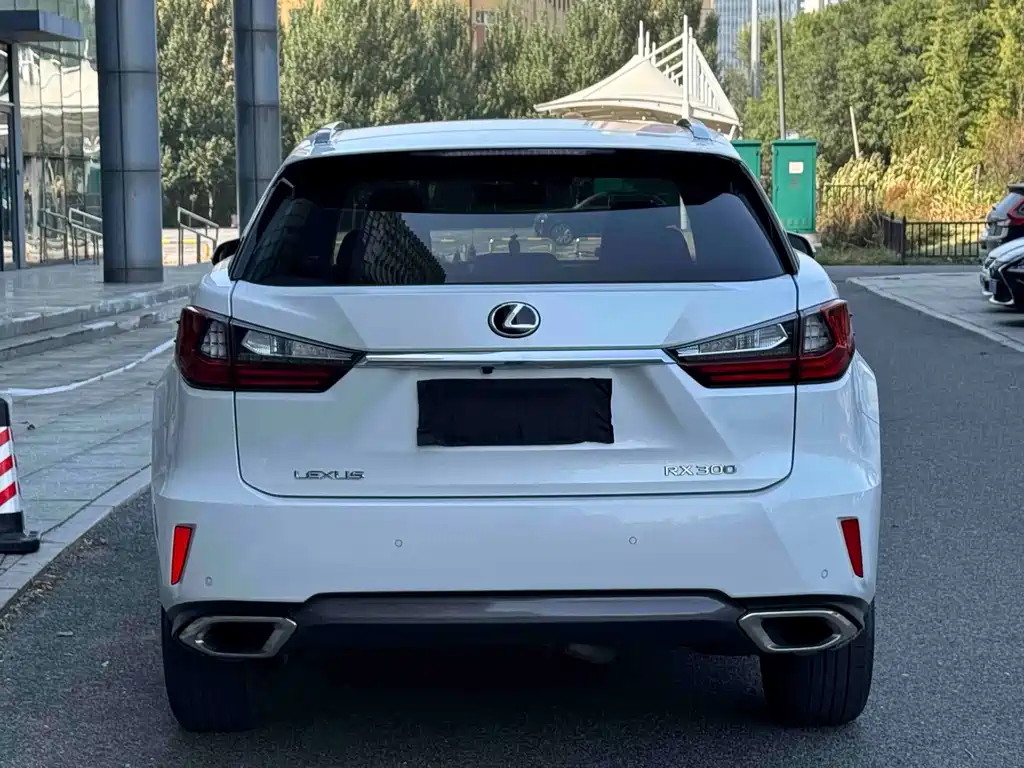 Lexus RX — фото 5