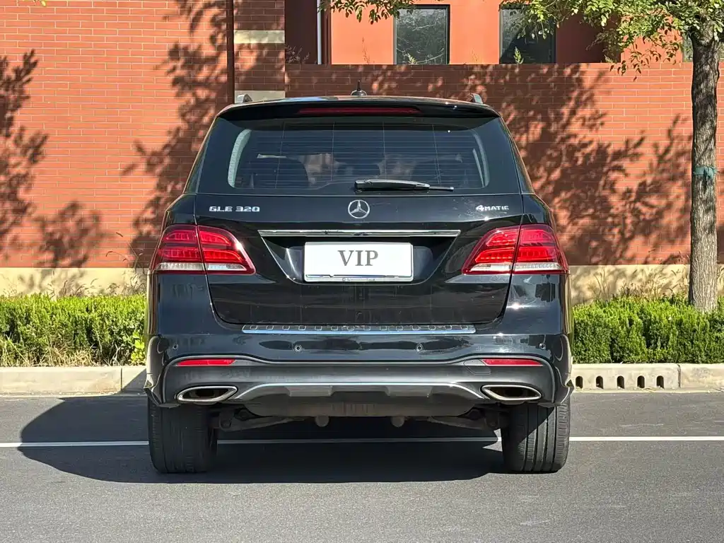 Mercedes-Benz GLE (Import) — фото 7