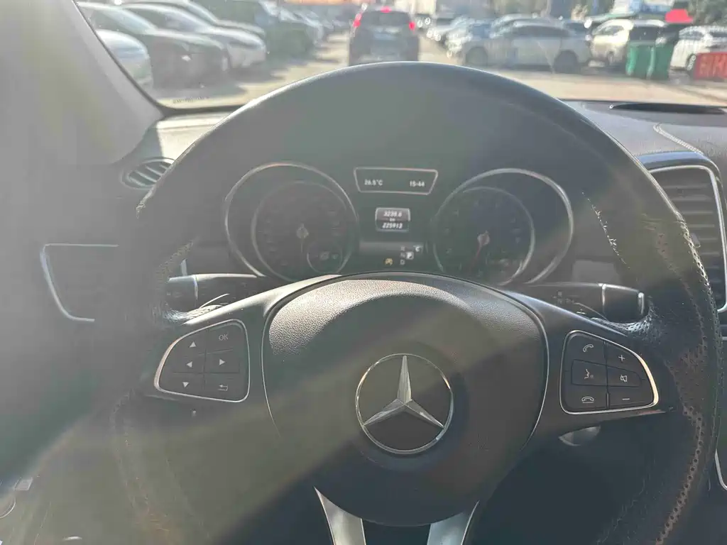 Mercedes-Benz GLE (Import) — фото 6