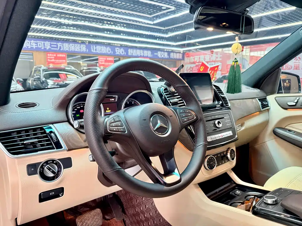 Mercedes-Benz GLE (Import) — фото 9