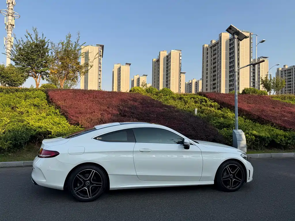 Mercedes-Benz C-Class (Import) — фото 6