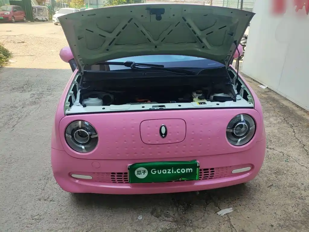 Ora Ora Black Cat — фото 20