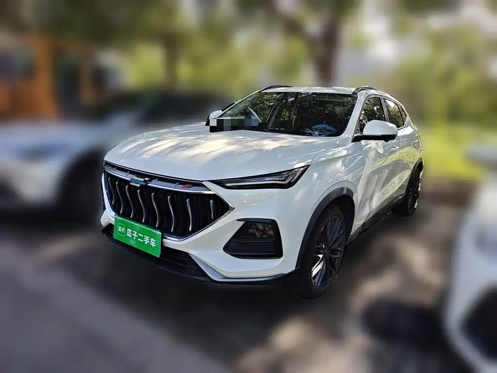 Oshan Oushang X5 — фото 2