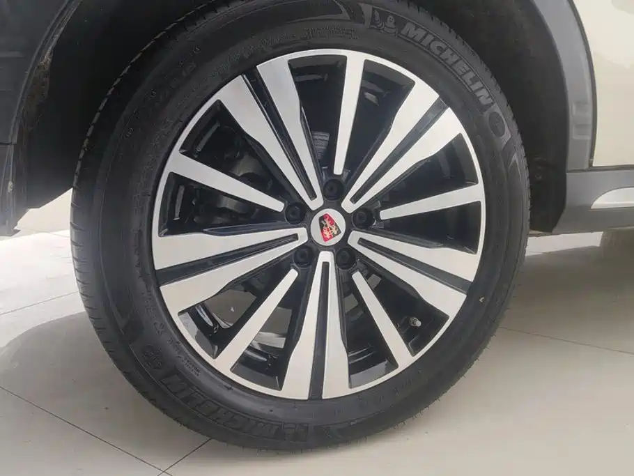 Roewe RX5 New Energy — фото 6