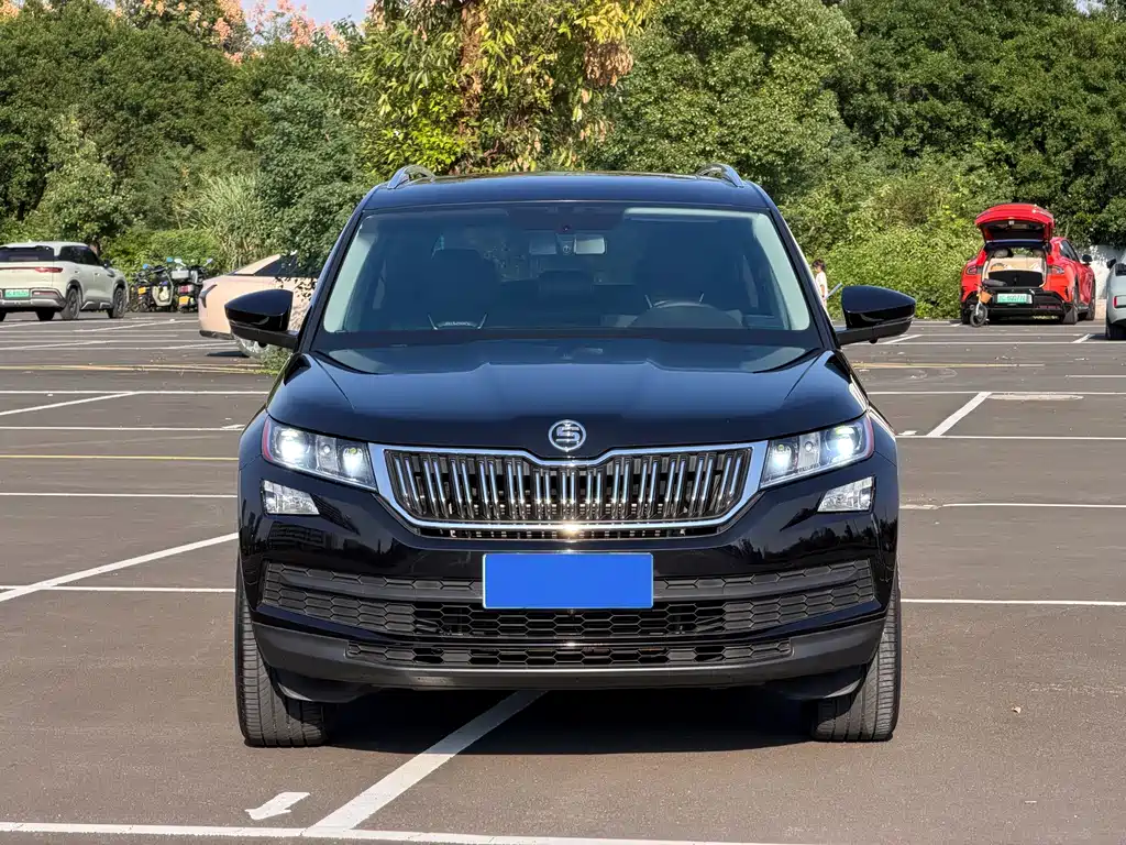 Skoda Kodiaq — фото 2