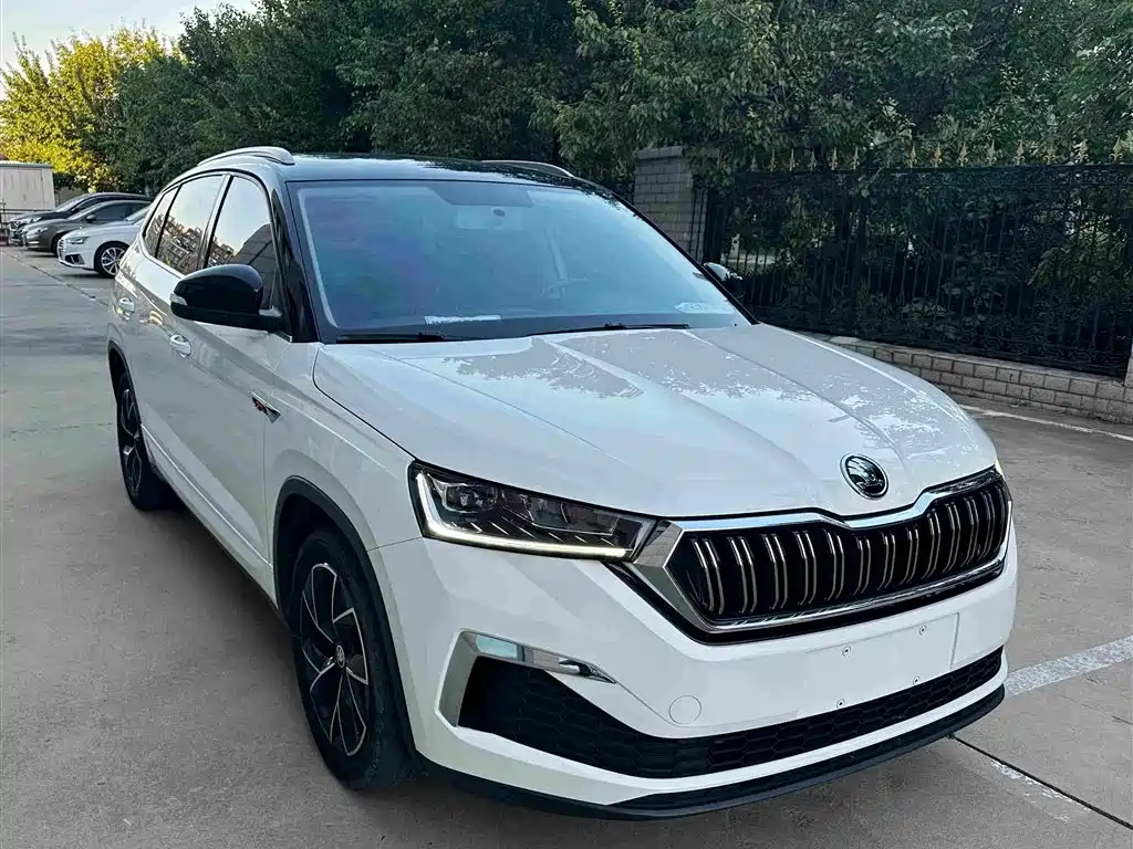 Skoda Kamiq — фото 3