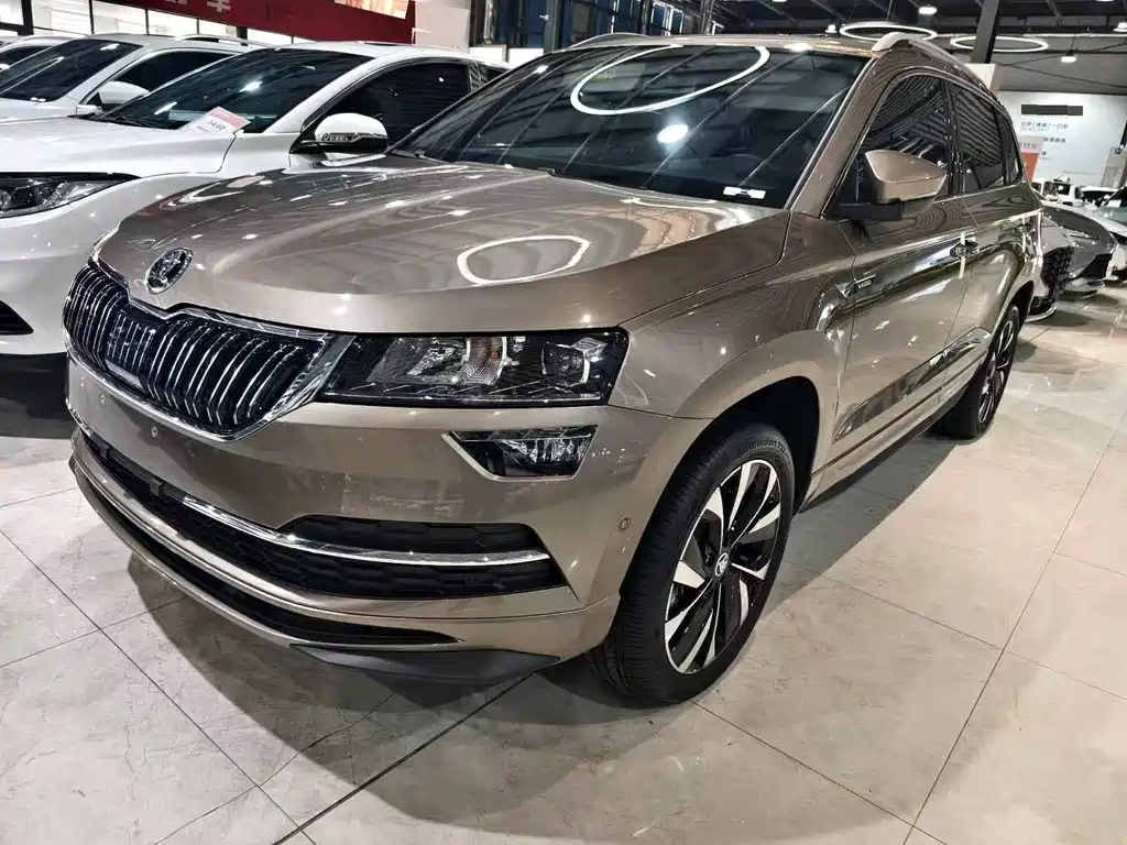 Skoda Karoq — фото 5