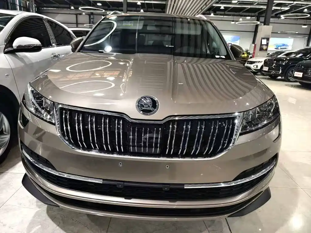 Skoda Karoq — фото 7