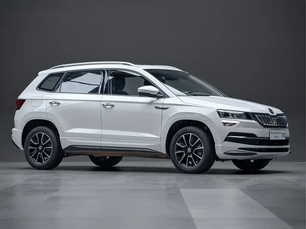 Skoda Karoq — фото 5