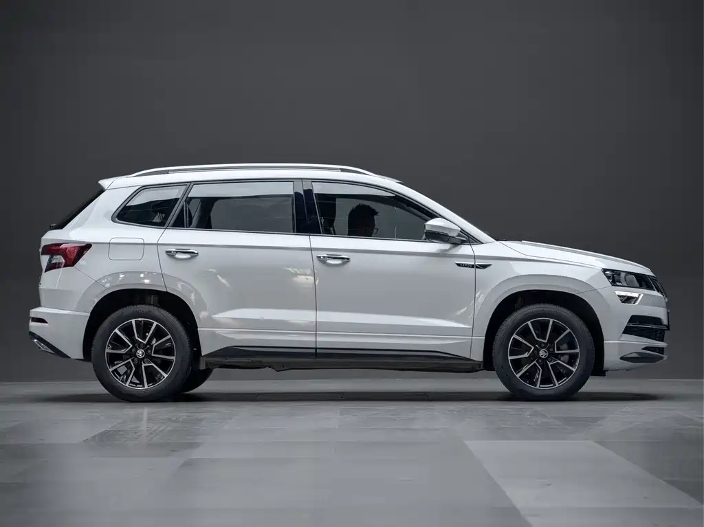 Skoda Karoq — фото 6