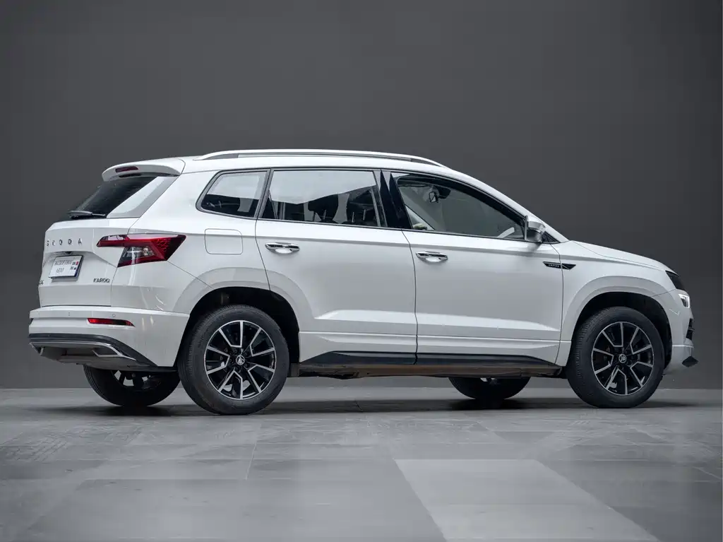 Skoda Karoq — фото 8