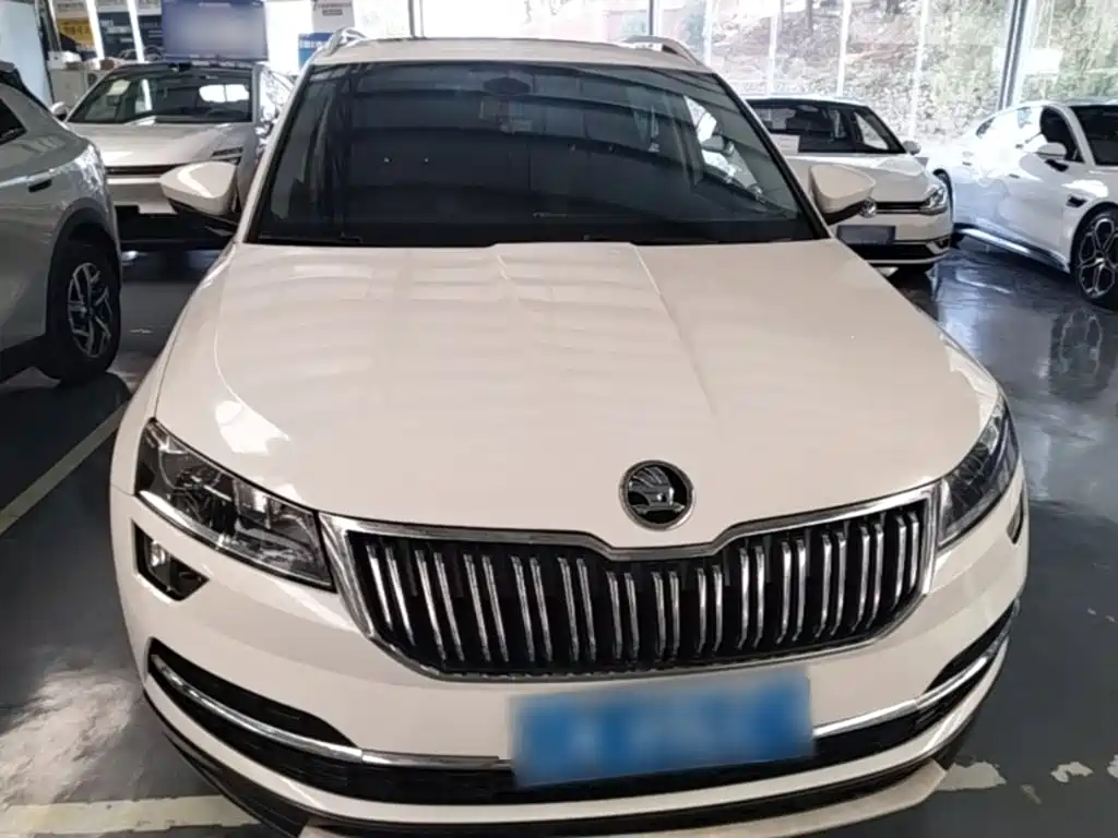 Skoda Karoq — фото 3
