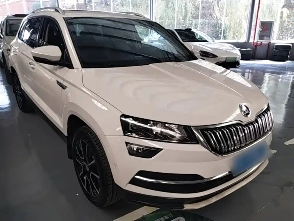 Skoda Karoq — фото 4