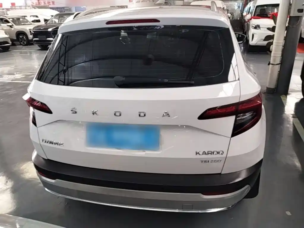 Skoda Karoq — фото 6