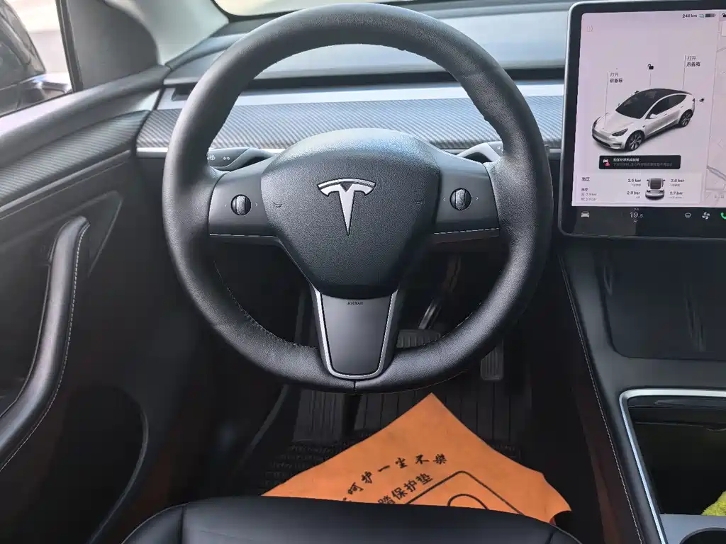 Tesla Model Y — фото 11
