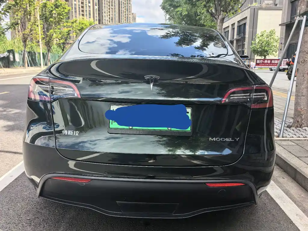 Tesla Model Y — фото 23
