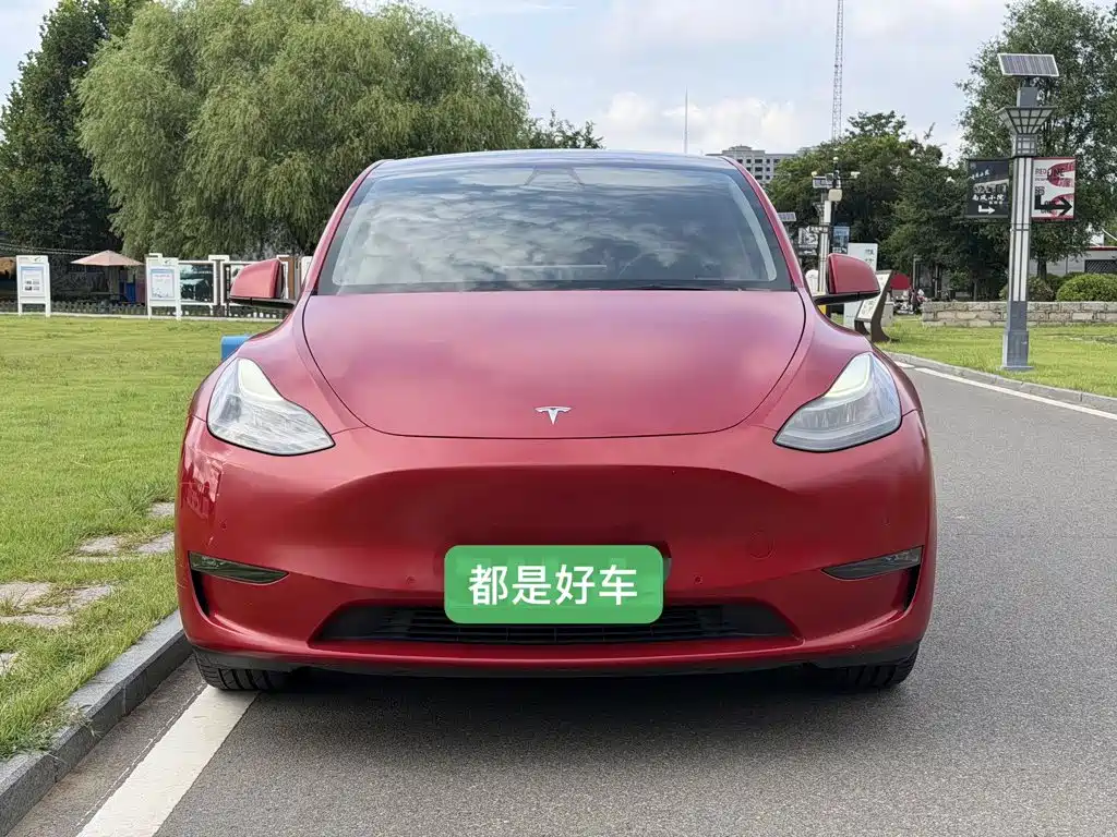Tesla Model Y — фото 2