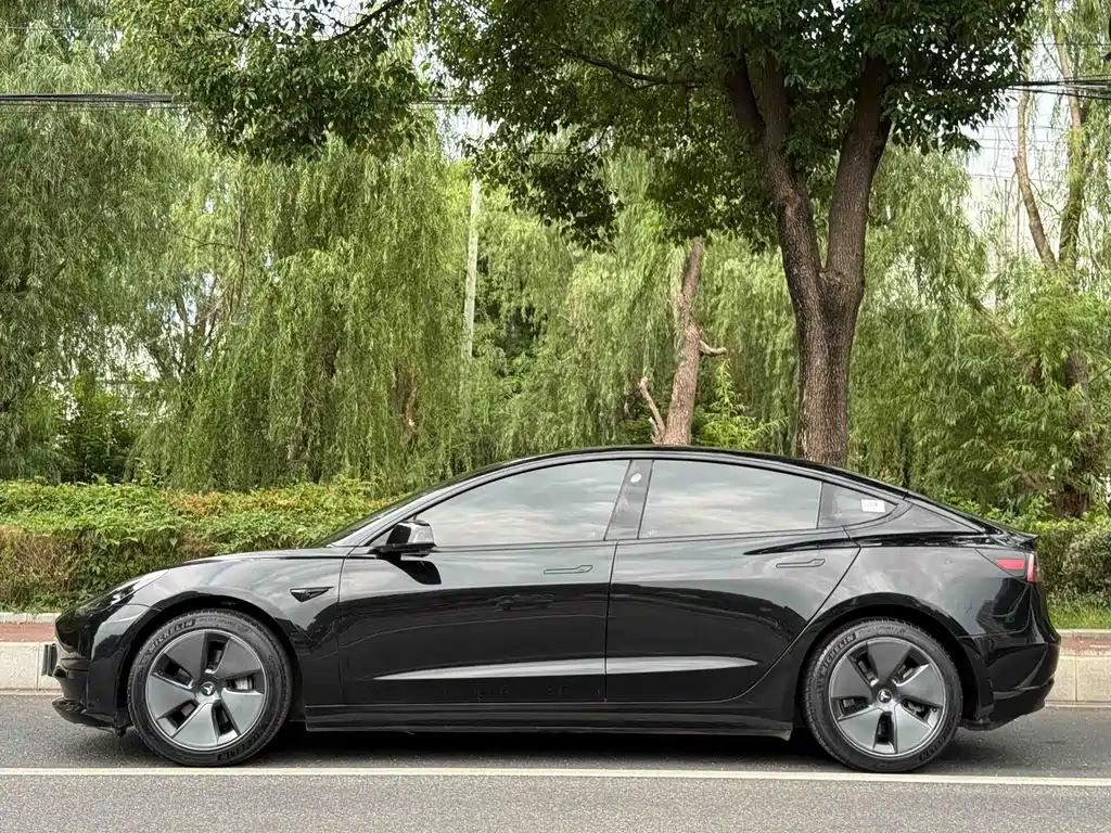 Tesla Model 3 — фото 2