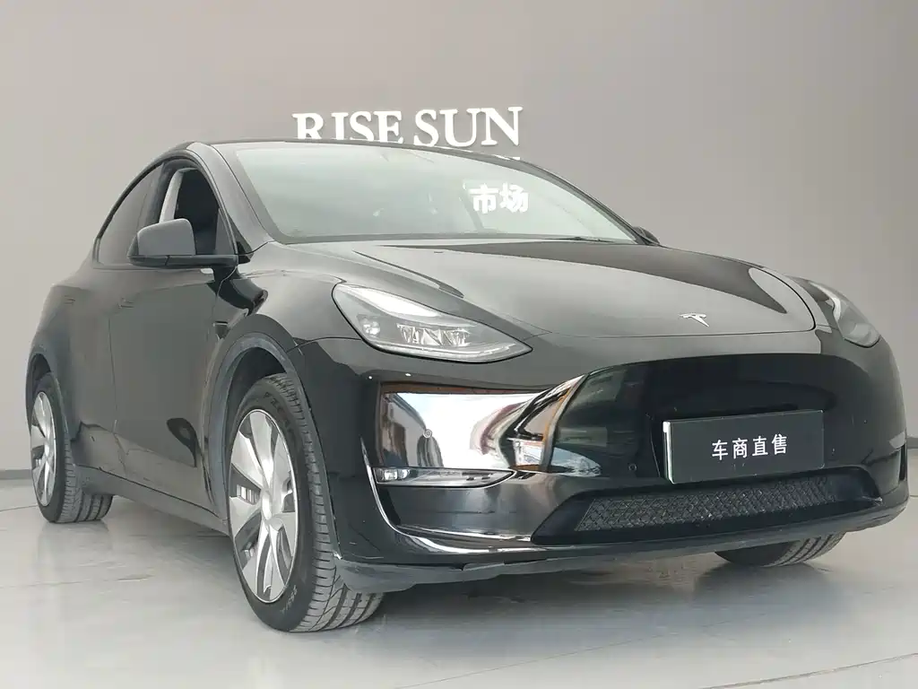Tesla Model Y — фото 3