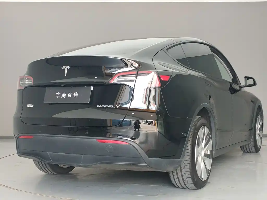 Tesla Model Y — фото 5