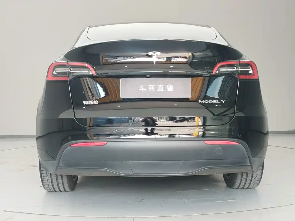 Tesla Model Y — фото 6