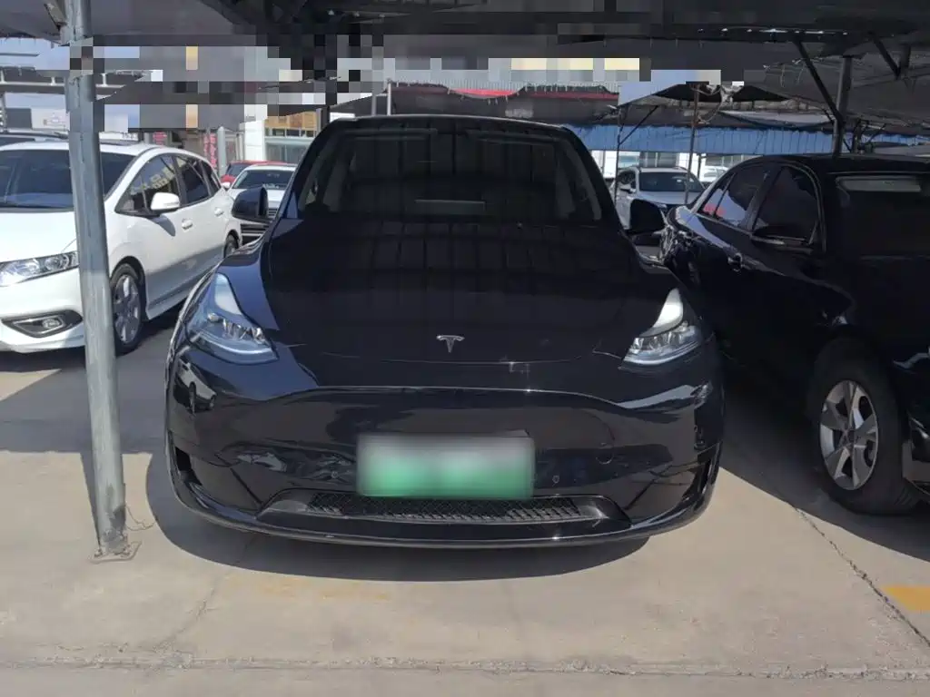 Tesla Model Y — фото 3
