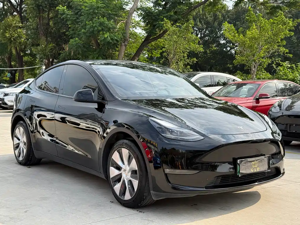 Tesla Model Y — фото 3