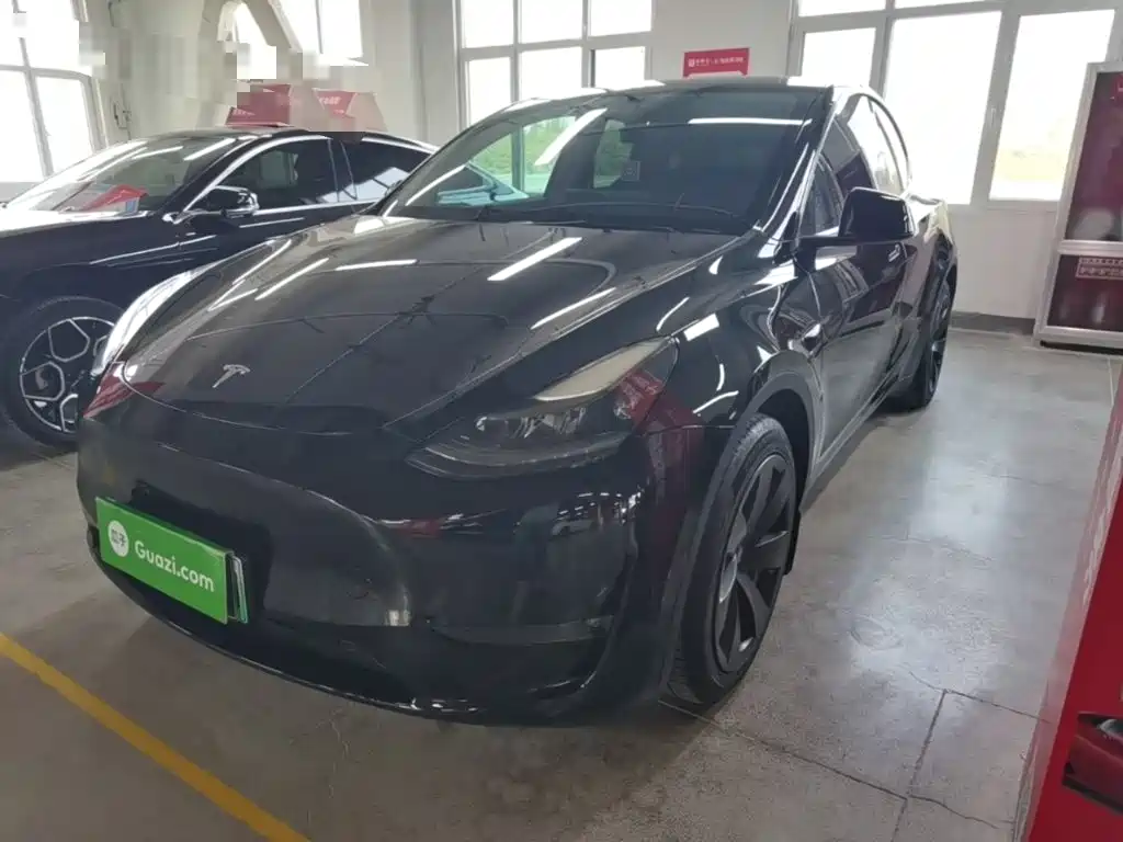 Tesla Model Y — фото 2