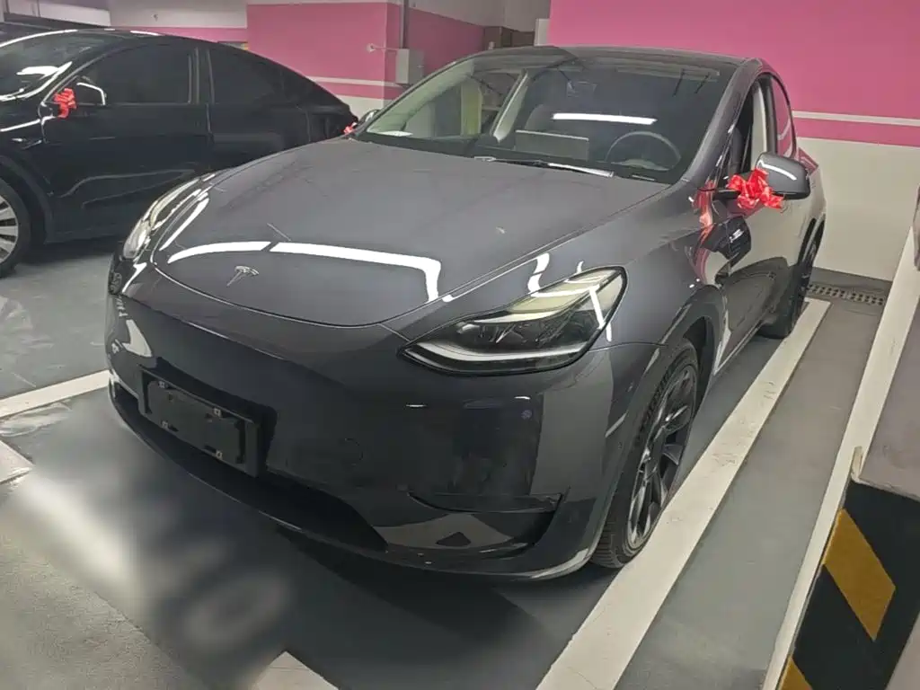 Tesla Model Y — фото 2