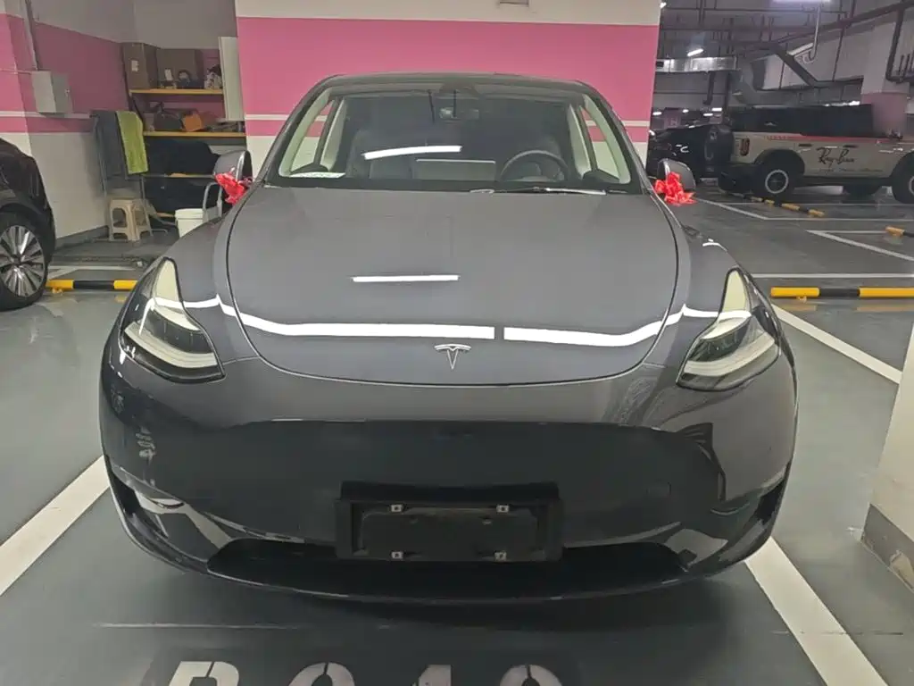Tesla Model Y — фото 3