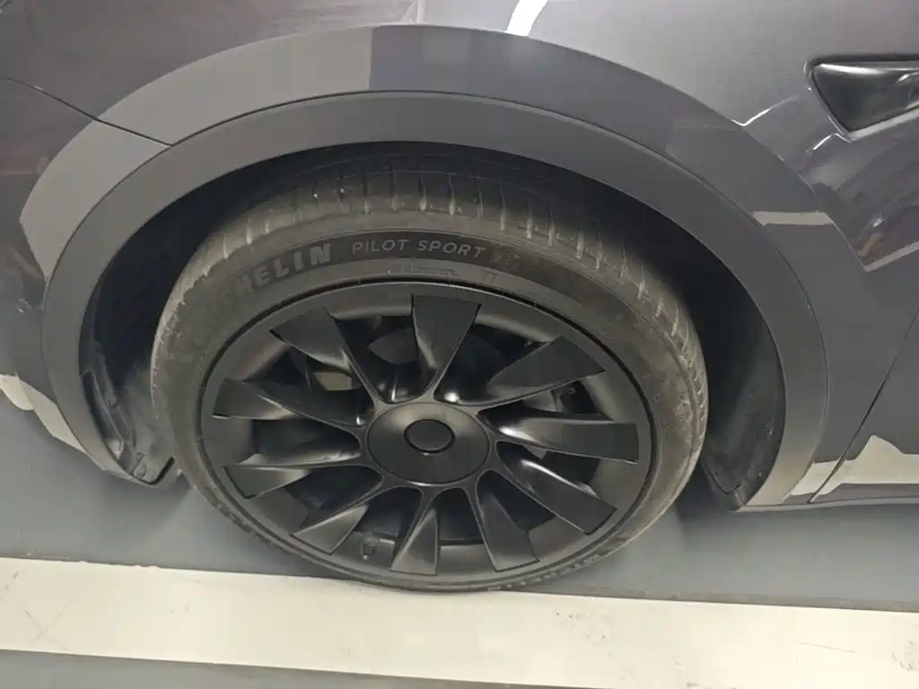 Tesla Model Y — фото 23