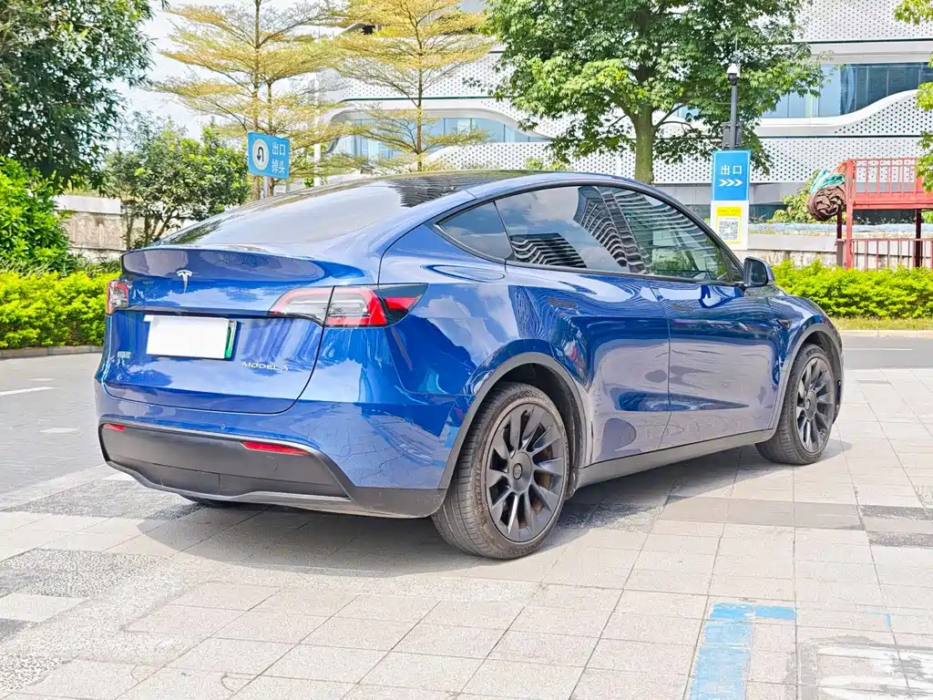 Tesla Model Y — фото 3