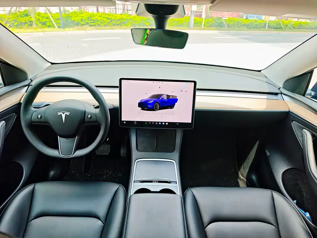 Tesla Model Y — фото 6