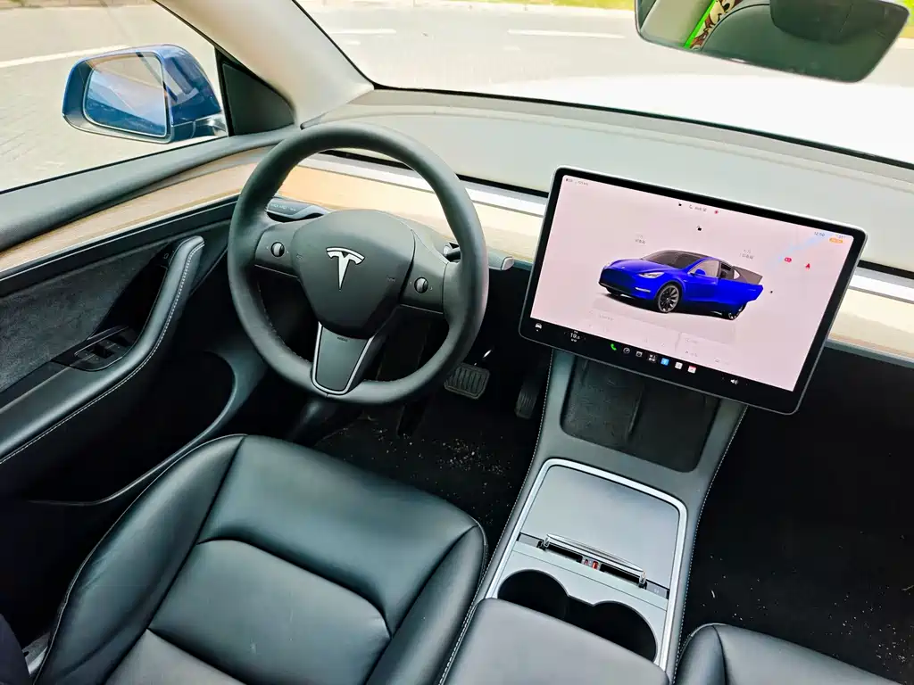 Tesla Model Y — фото 10