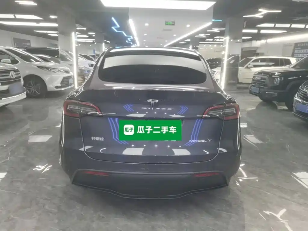 Tesla Model Y — фото 6