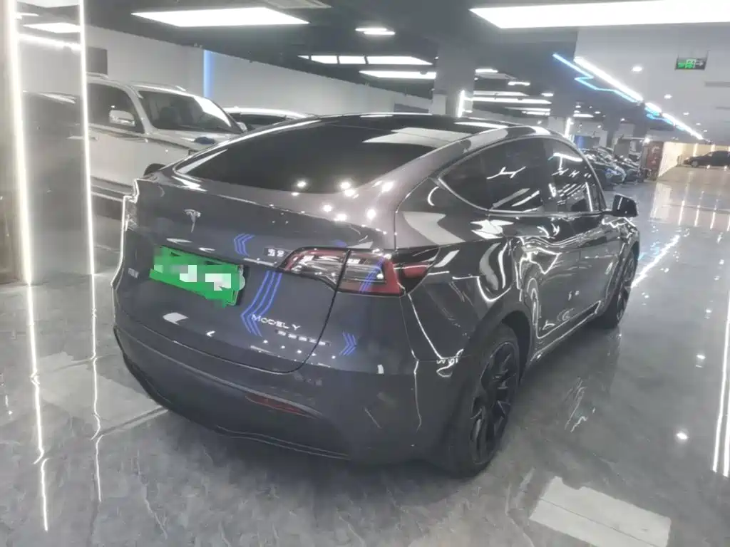 Tesla Model Y — фото 7