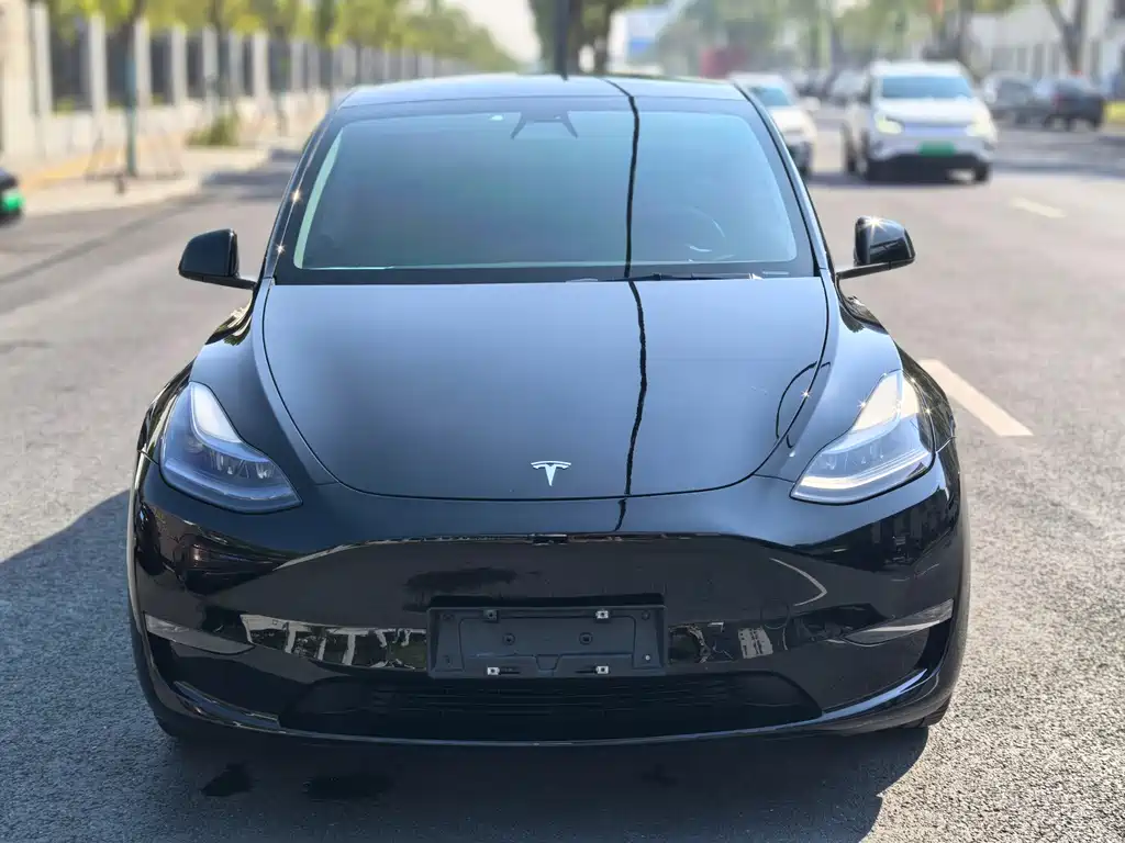 Tesla Model Y — фото 2