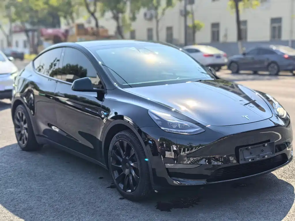 Tesla Model Y — фото 3