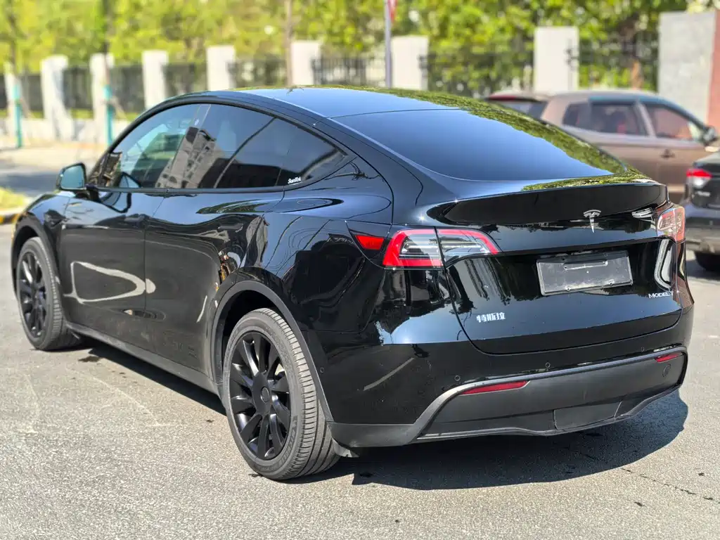 Tesla Model Y — фото 9