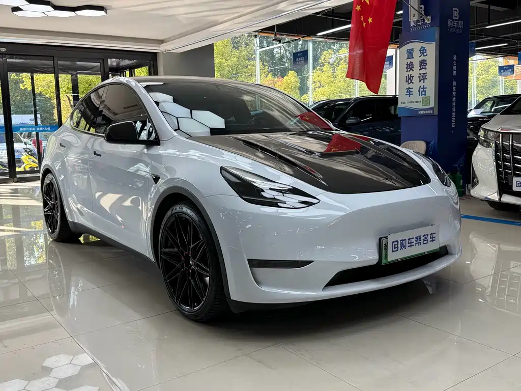 Tesla Model Y — фото 3