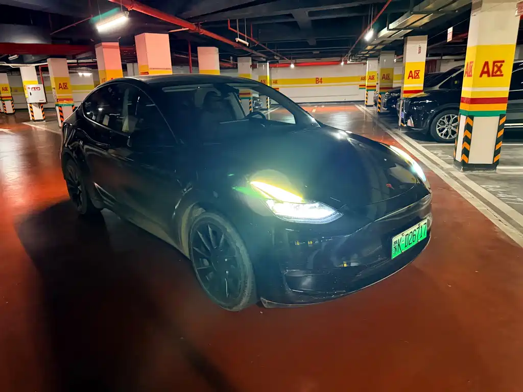 Tesla Model Y — фото 3