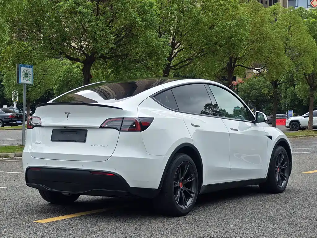 Tesla Model Y — фото 4